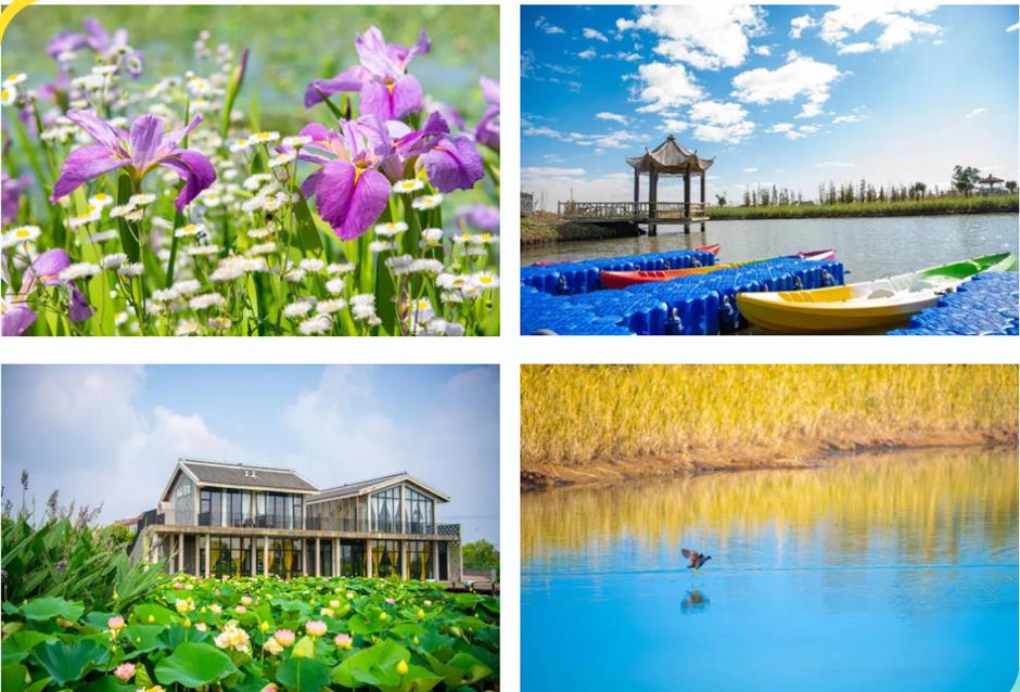 上海夏日避暑,首选绿意葱茏的郊野公园