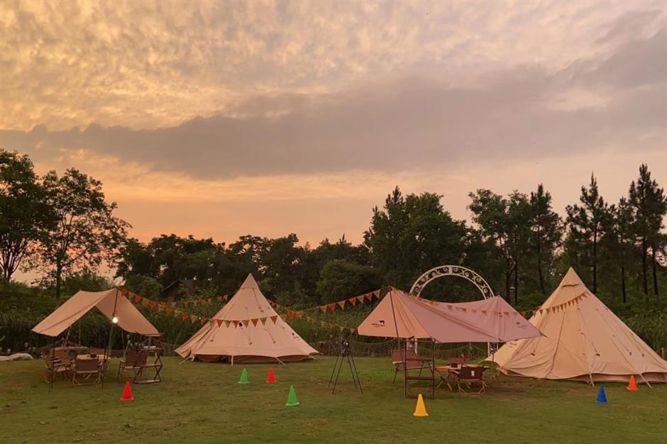 上海夏日避暑,首选绿意葱茏的郊野公园
