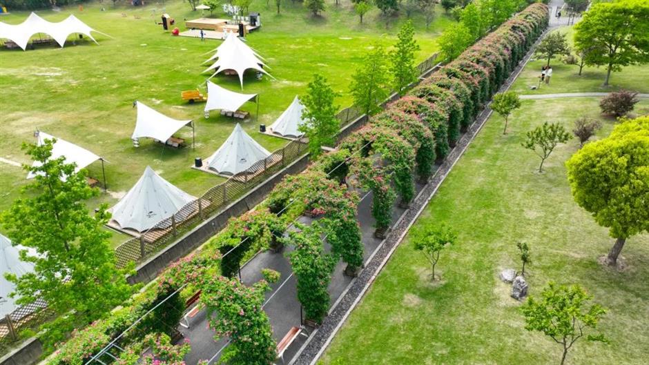 上海夏日避暑,首选绿意葱茏的郊野公园