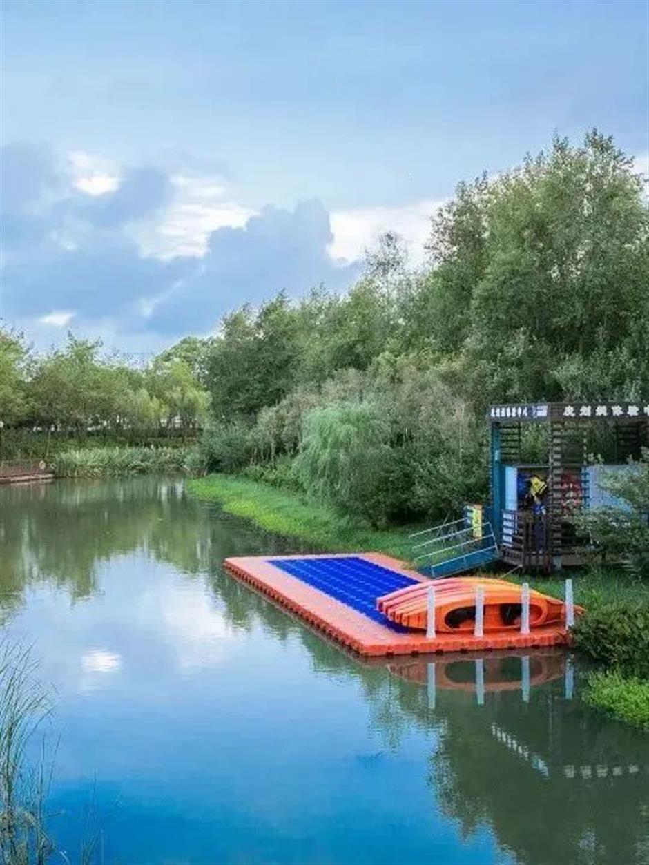 上海夏日避暑,首选绿意葱茏的郊野公园