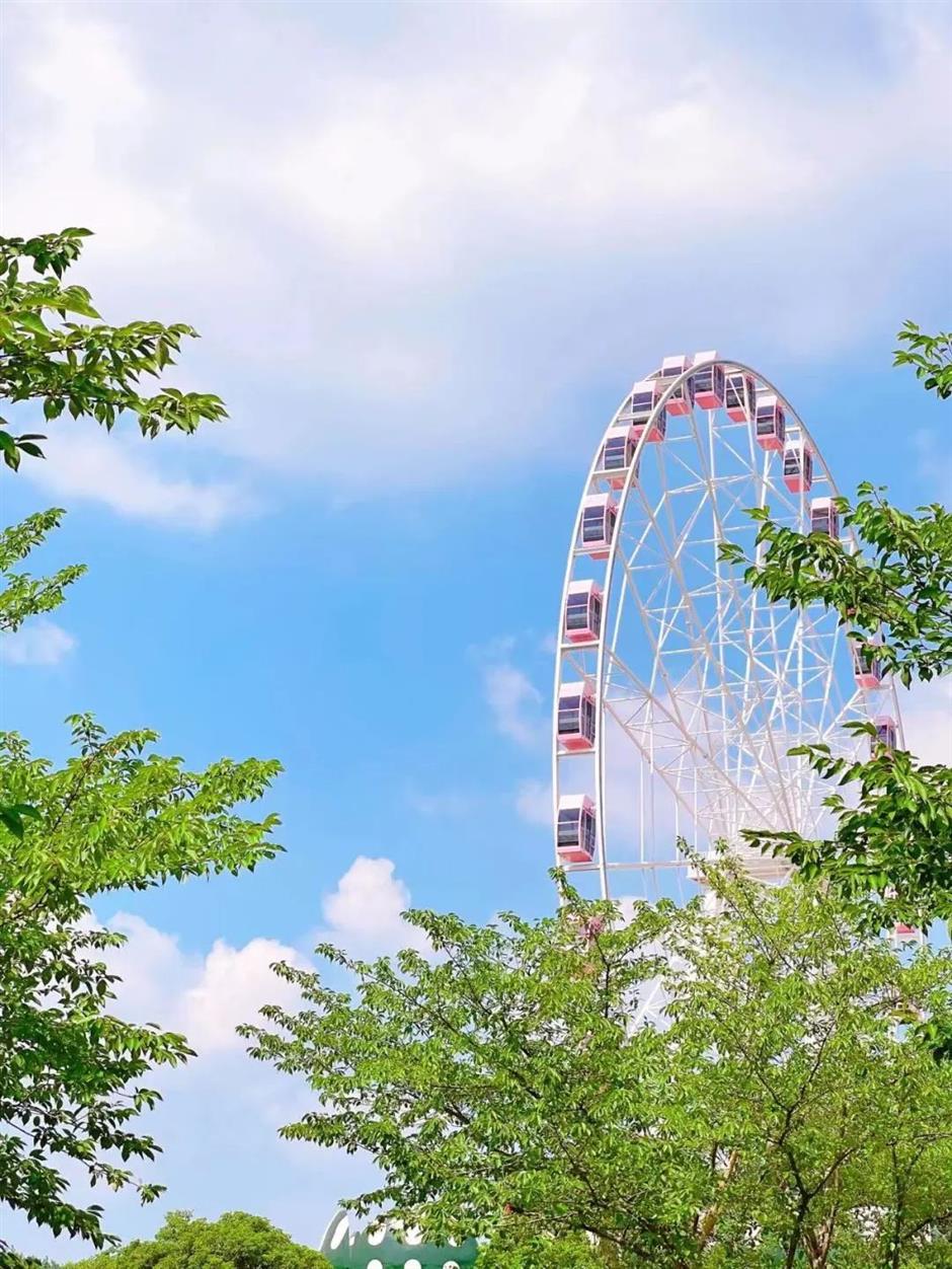 莫奈画笔下的睡莲花园,宝山就有!