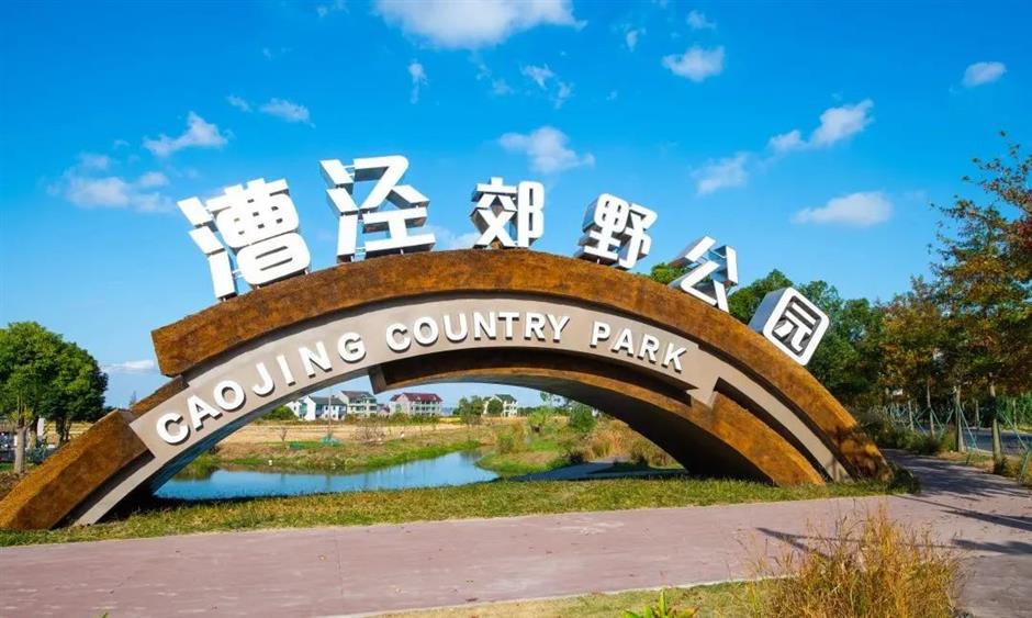 上海夏日避暑,首选绿意葱茏的郊野公园