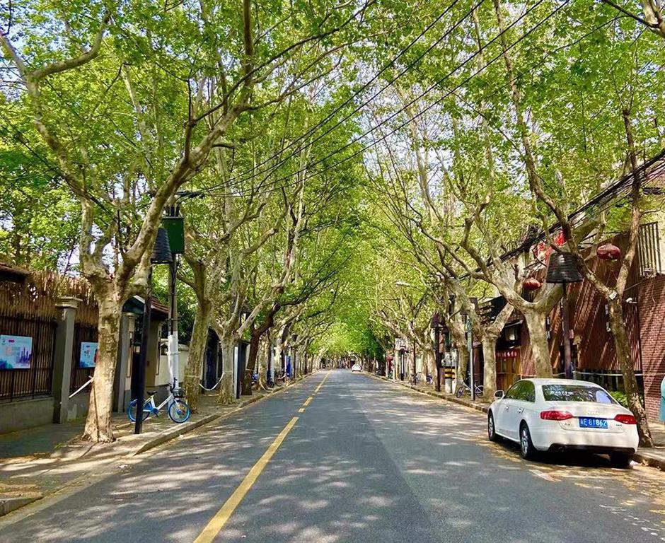 Variety and vitality in the dynamic neighborhood of Julu, Fumin roads