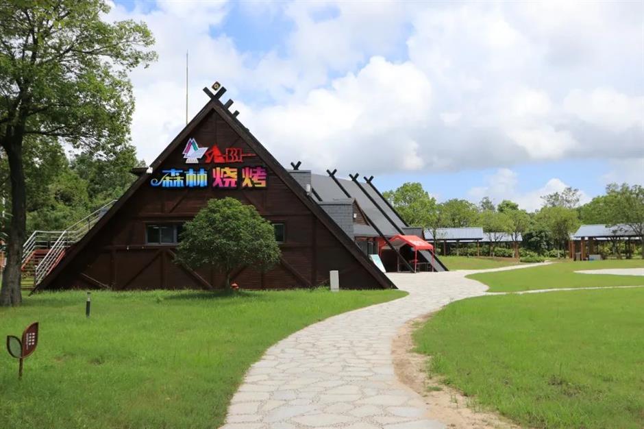 限定免费!相约来一场森林奇妙游吧