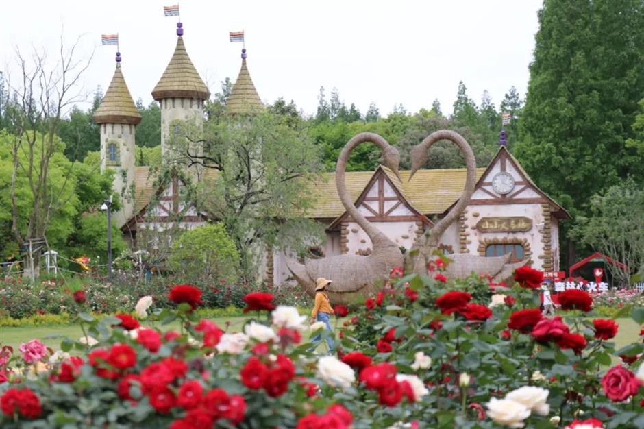 限定免费!相约来一场森林奇妙游吧