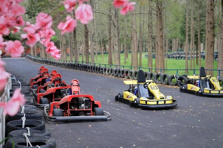 限定免费!相约来一场森林奇妙游吧