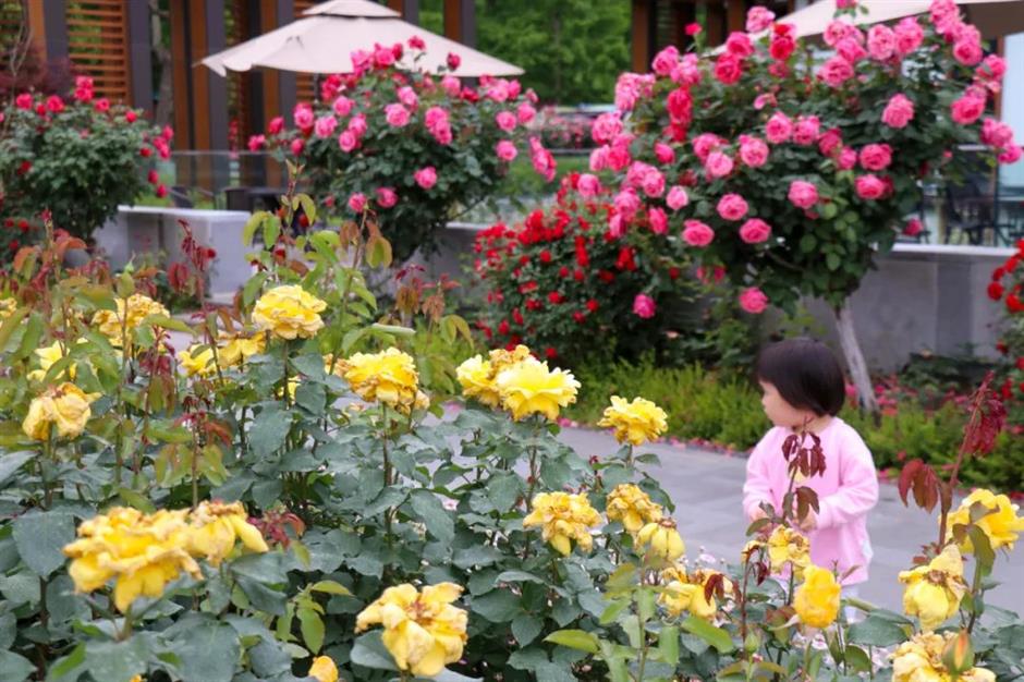 限定免费!相约来一场森林奇妙游吧