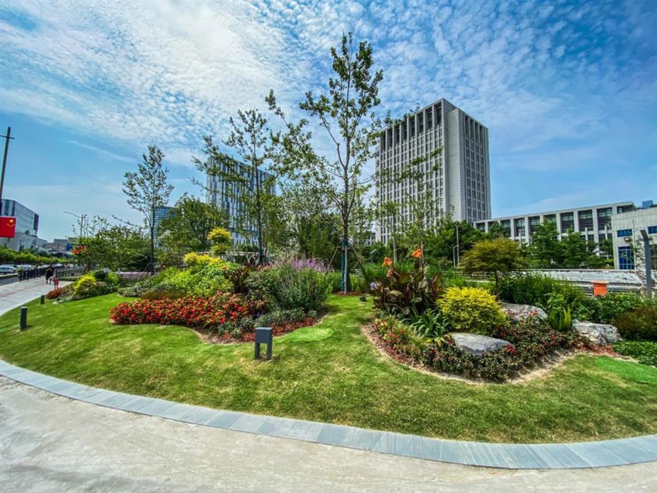 出门就能打卡的高颜值口袋公园,去赏景纳凉