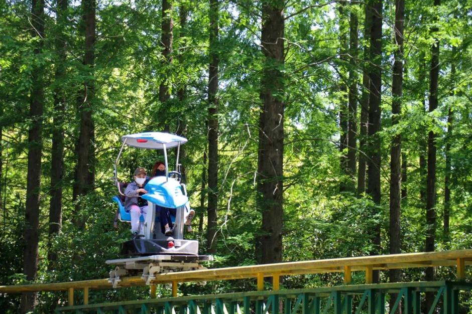 限定免费!相约来一场森林奇妙游吧