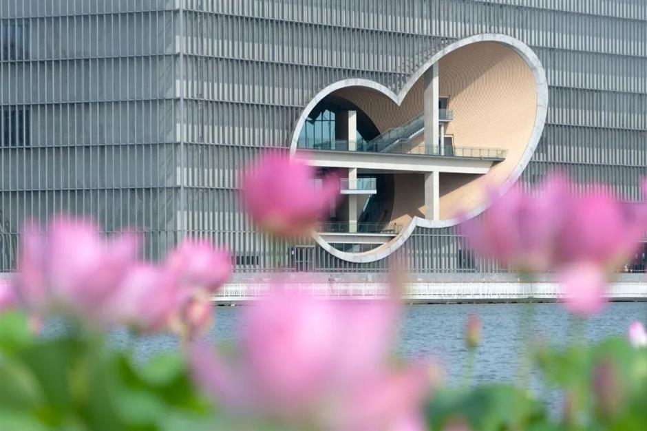 满池夏意浓,上海这些赏荷打卡地你知道吗?