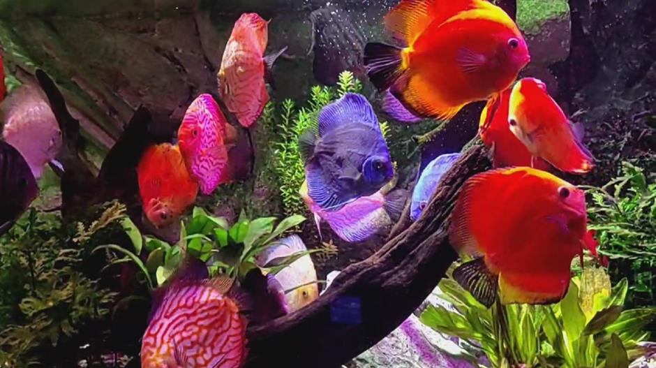 探索陆家嘴!申城双层观光巴士深度漫游系列之一