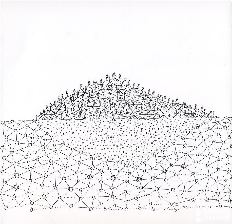 Sustainable development explored at exhibition