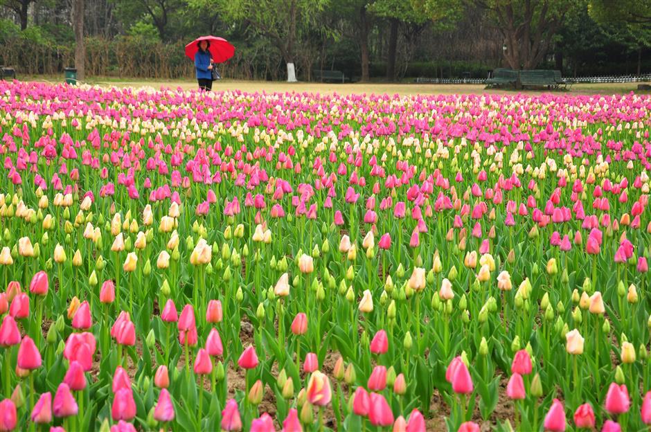 Going off track for outings on city's first Metro line