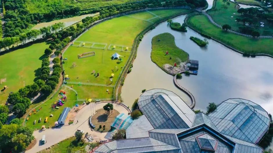 叮咚!这有一份沪郊