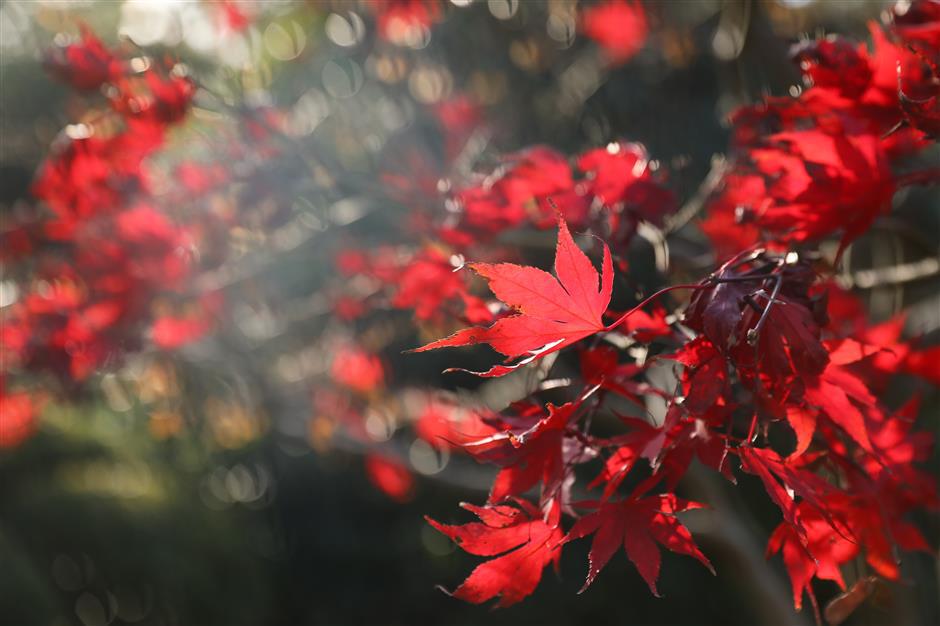 Going off track for outings on city's first Metro line