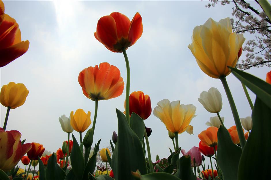 Going off track for outings on city's first Metro line