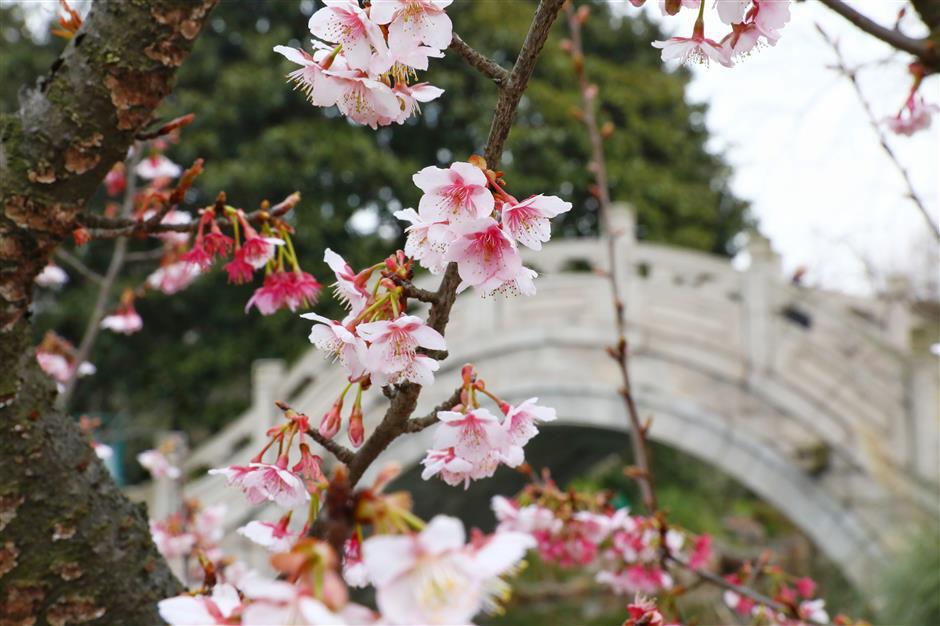 Going off track for outings on city's first Metro line
