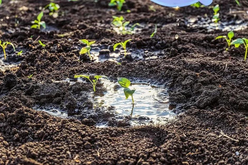 节气之美 | 大暑方蒸湿,云兴忽蔽空