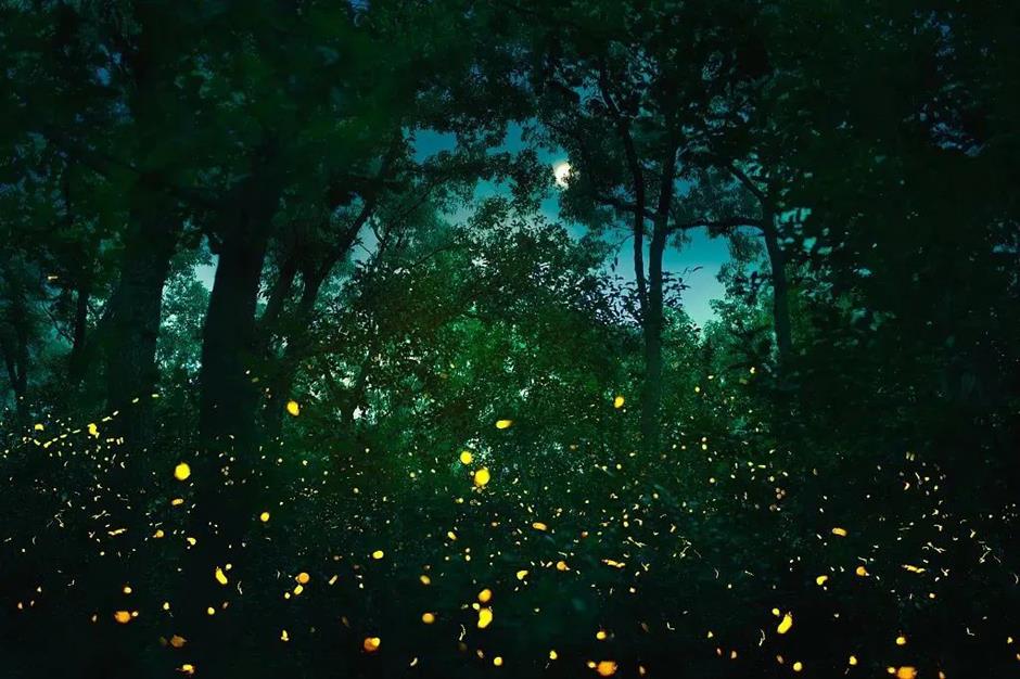 节气之美 | 大暑方蒸湿,云兴忽蔽空