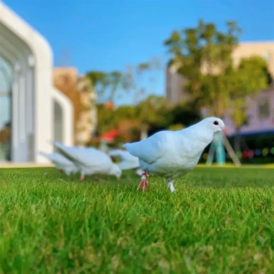 仲夏夜,来这里邂逅晚风和