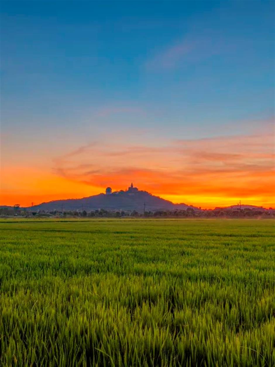 上海唯一的自然山林胜地,徐霞客都