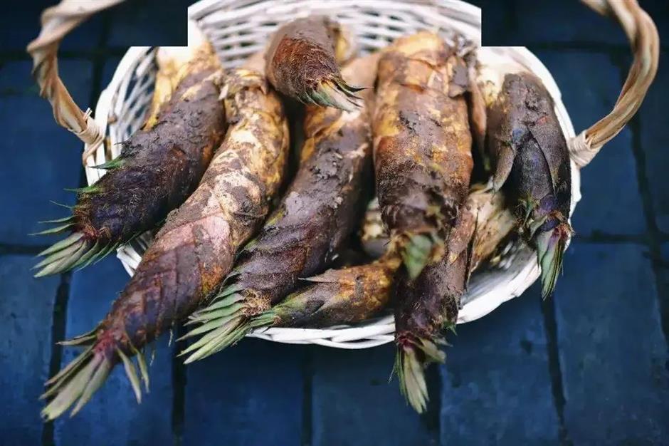 上海唯一的自然山林胜地,徐霞客都