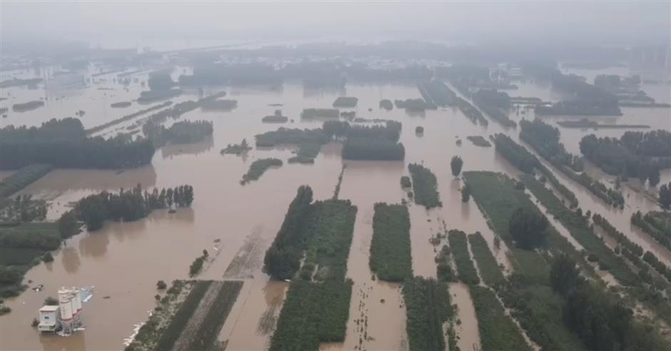 Shanghai's 1st rescue force springs into action in flood-ravaged Zhuozhou