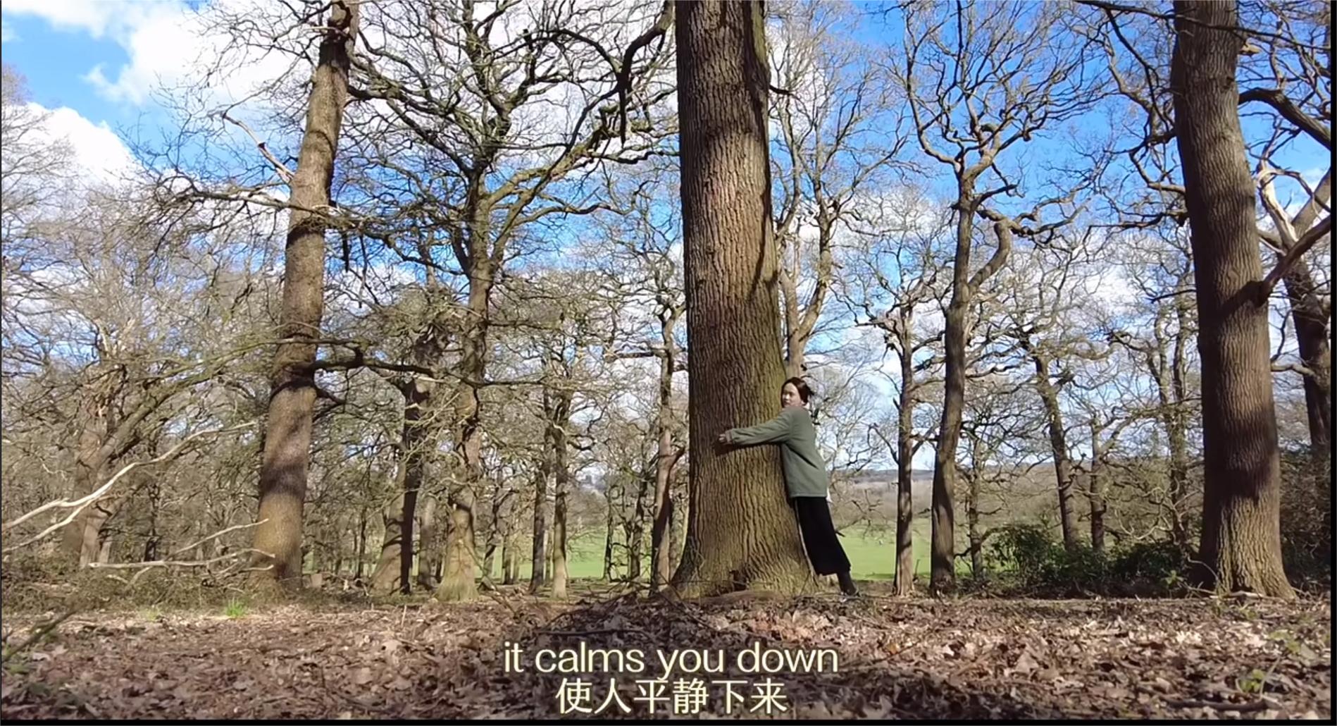 Go hug a tree and soak up the positive vibes SHINE News