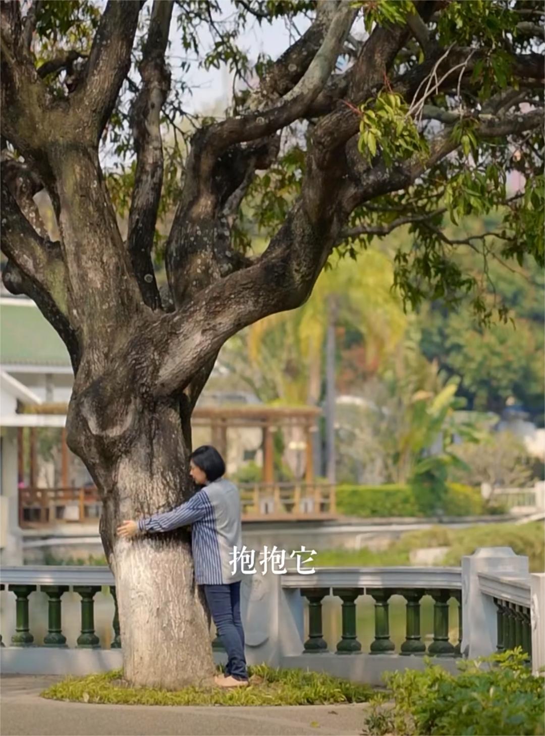Go hug a tree and soak up the positive vibes SHINE News