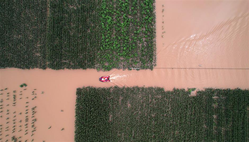 Battered by heavy rainfall, Zhuozhou fights through deadly floods