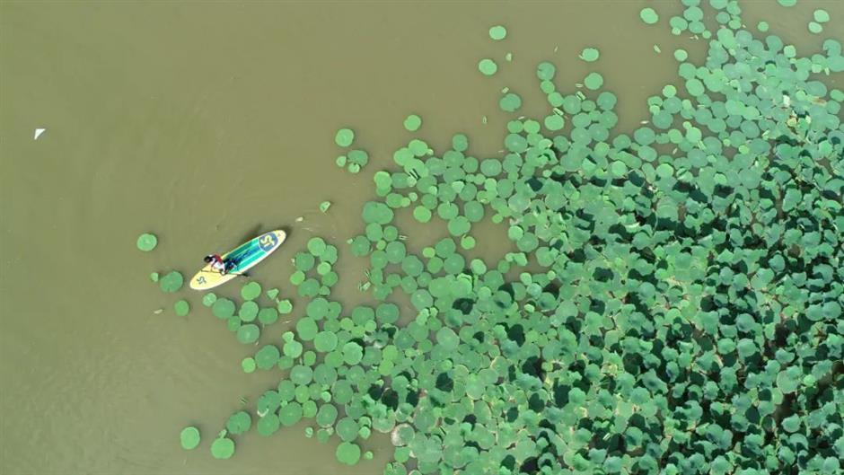 去公園玩水,GET夏日限定快樂吧!