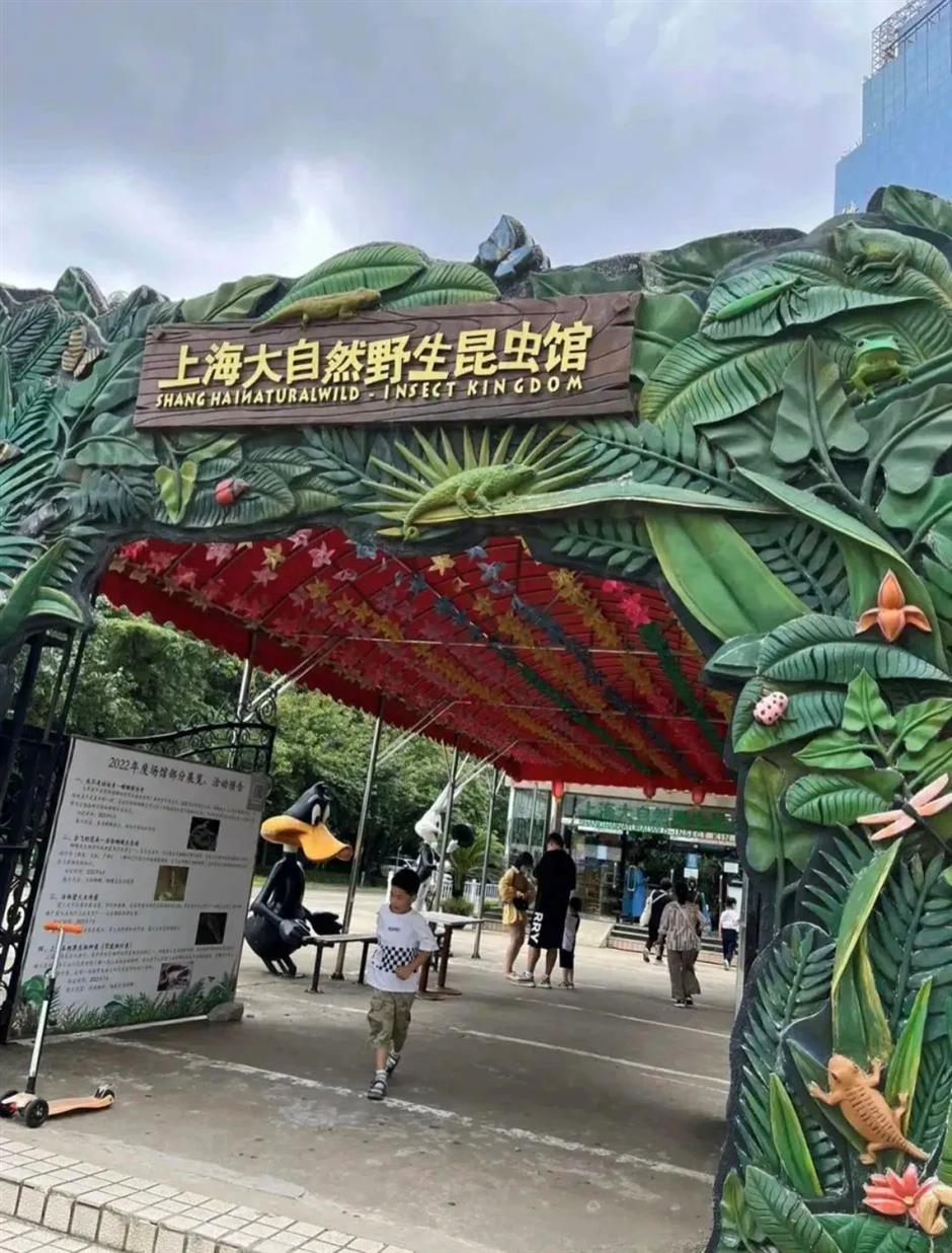 暑期来上海,去这些