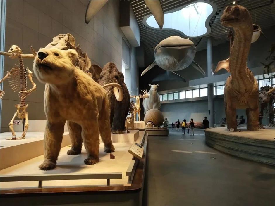 暑期来上海,去这些