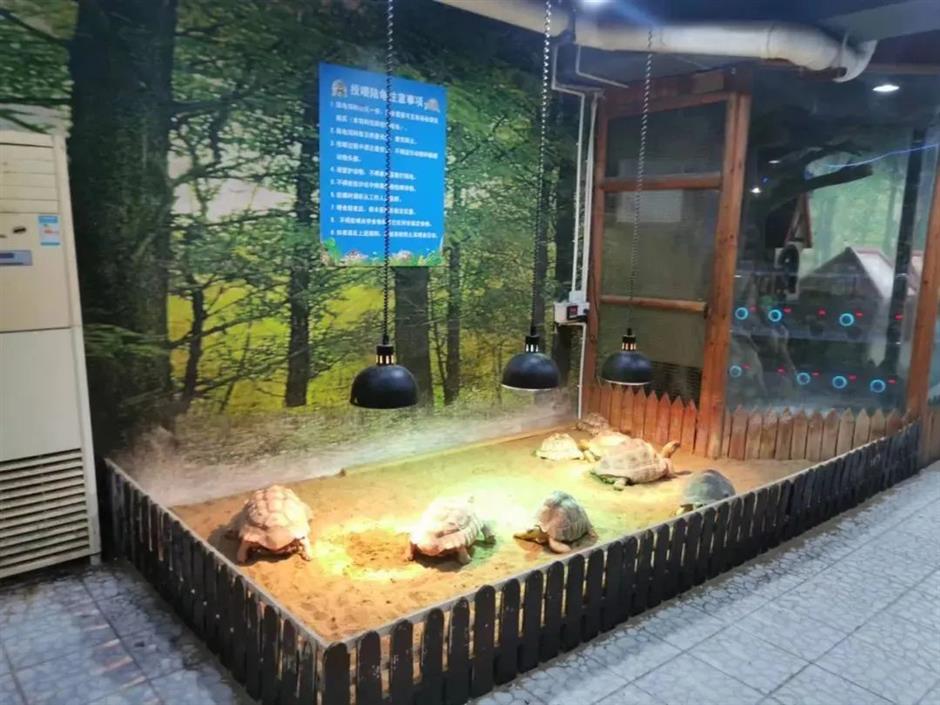 暑期来上海,去这些