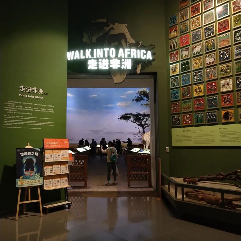 暑期来上海,去这些