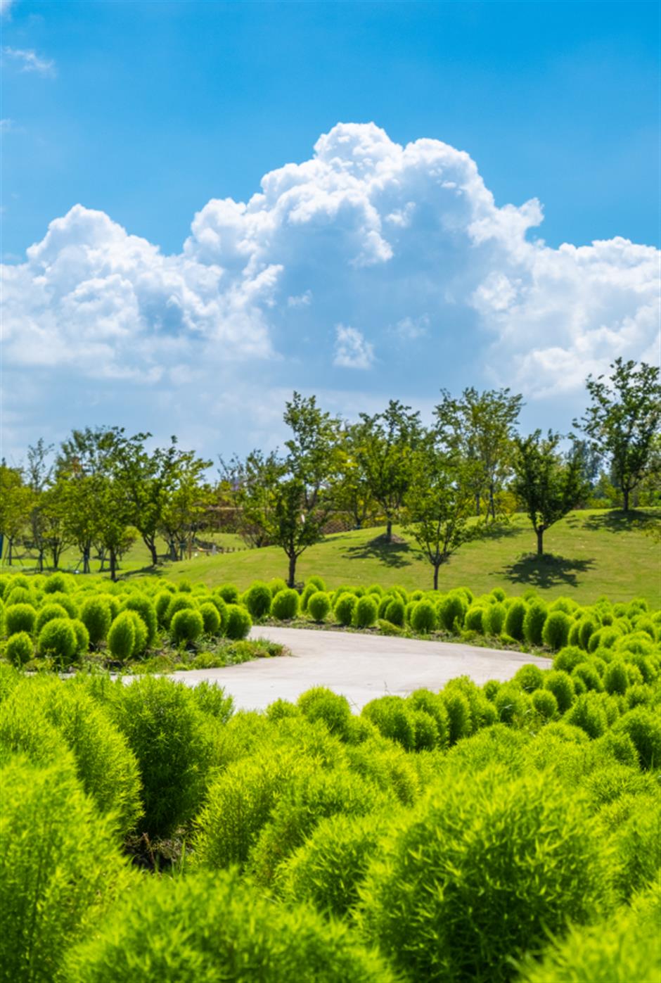 出片率100%!来这,解锁油画般的夏天