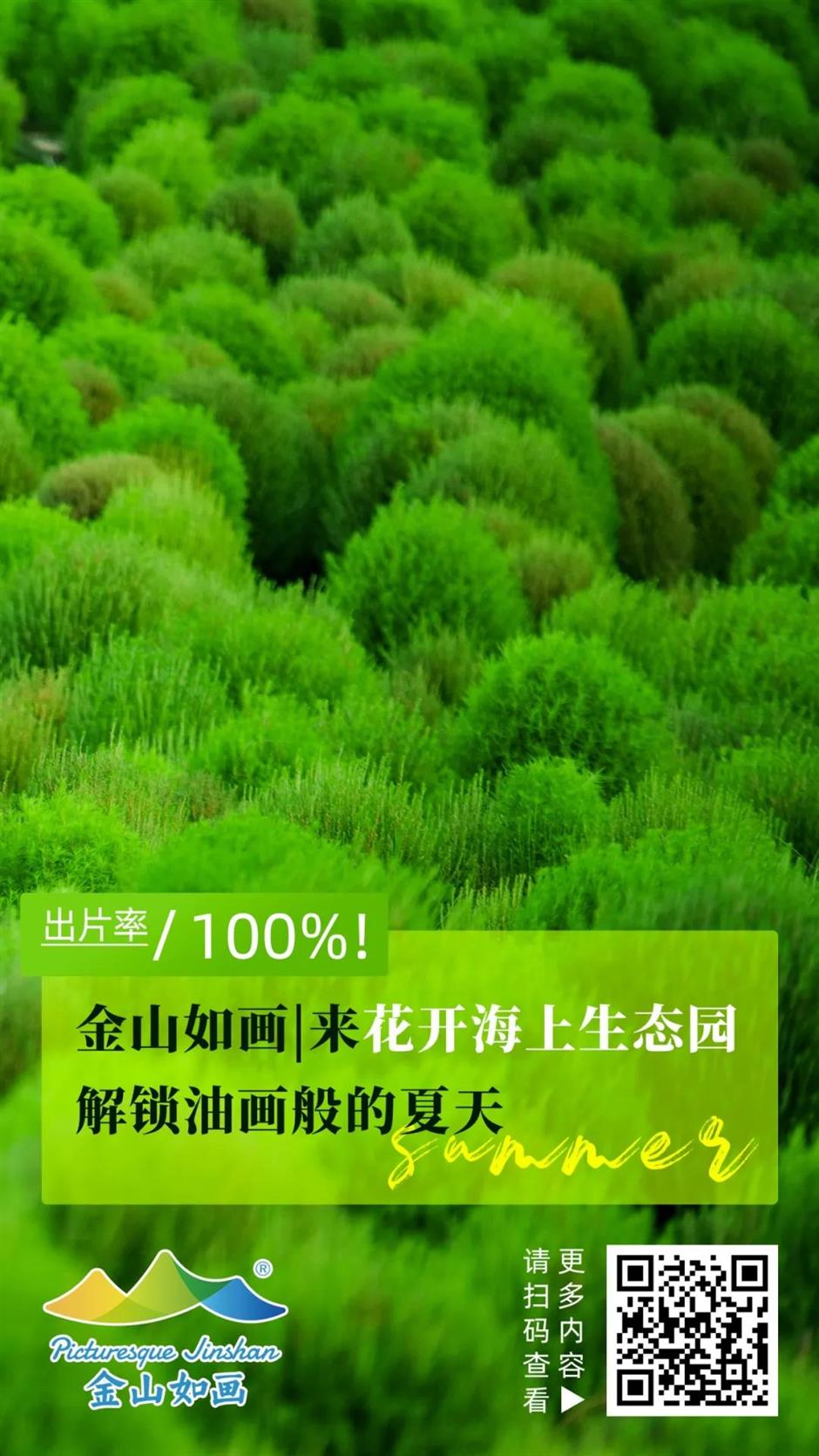 出片率100%!来这,解锁油画般的夏天