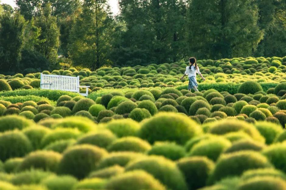 出片率100%!来这,解锁油画般的夏天
