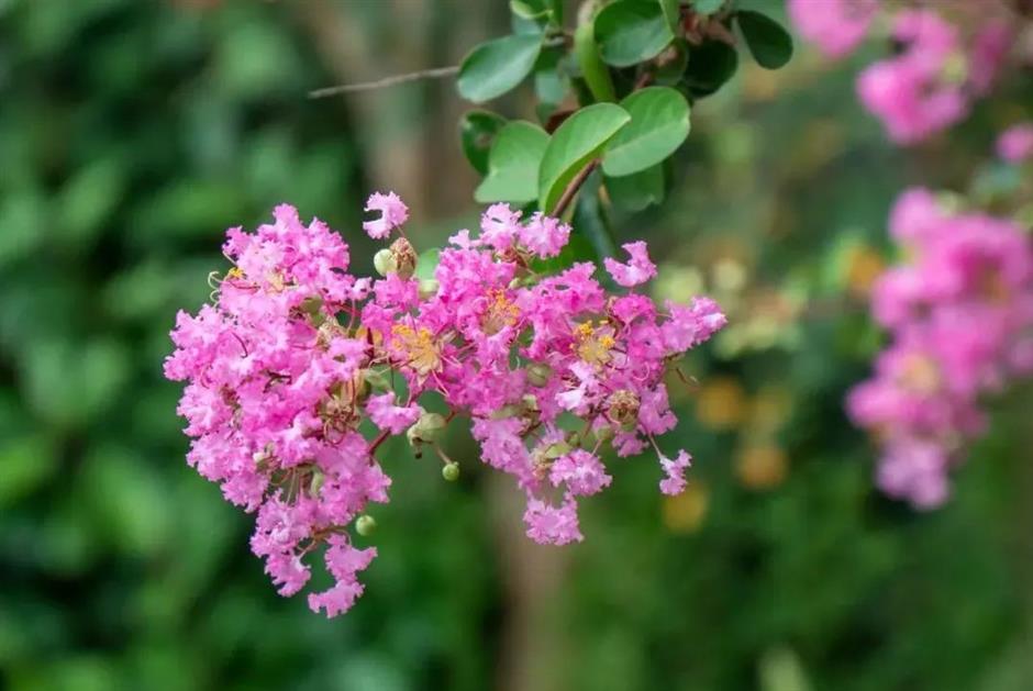 出片率100%!来这,解锁油画般的夏天