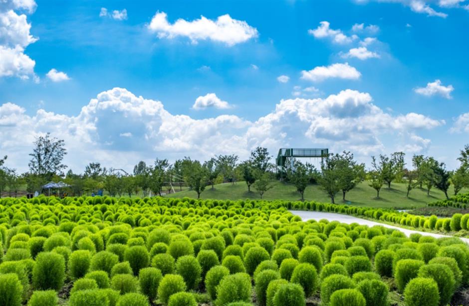 出片率100%!来这,解锁油画般的夏天