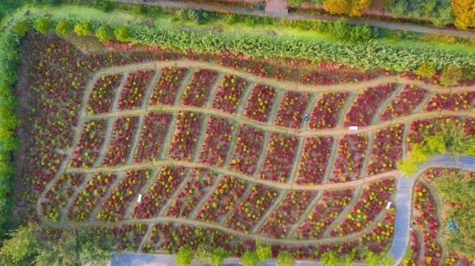 出片率100%!来这,解锁油画般的夏天