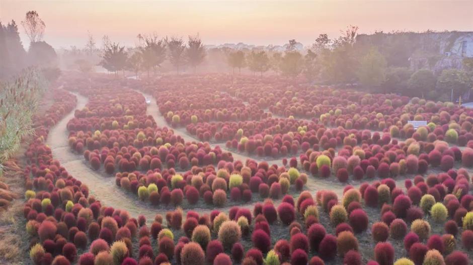 出片率100%!来这,解锁油画般的夏天