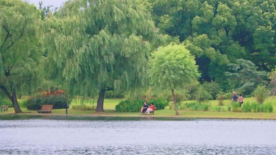 暑期倒计时!去森林公园溜娃吧