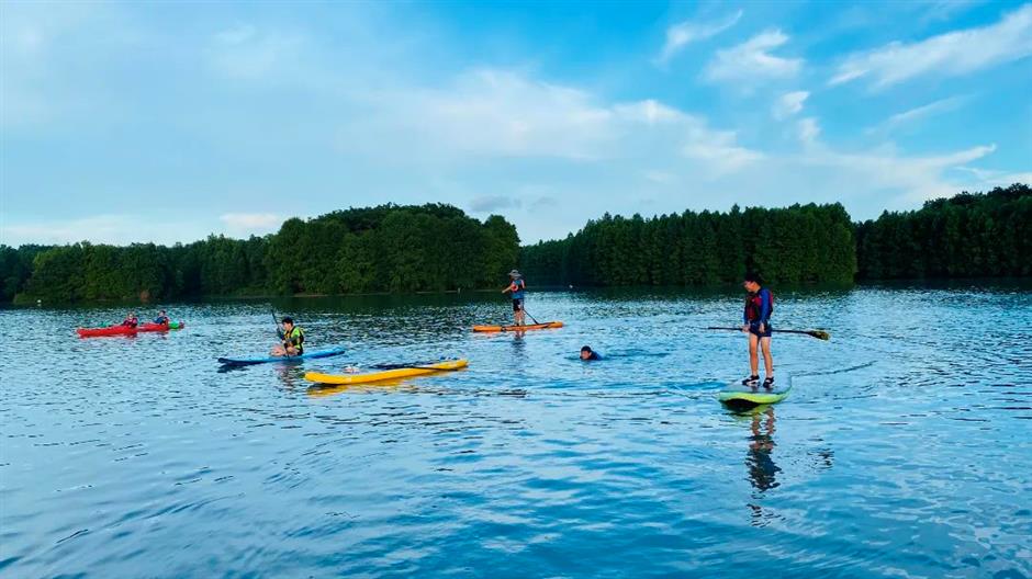暑期倒计时!去森林公园溜娃吧
