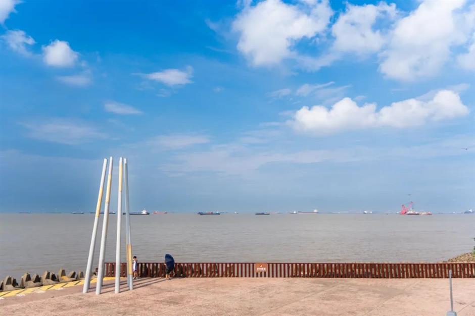 暑期倒计时!去森林公园溜娃吧