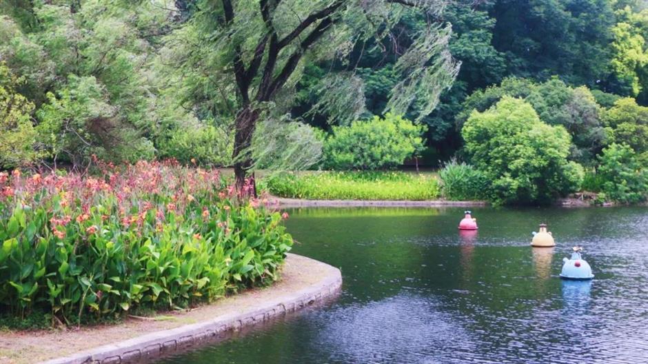 暑期倒计时!去森林公园溜娃吧