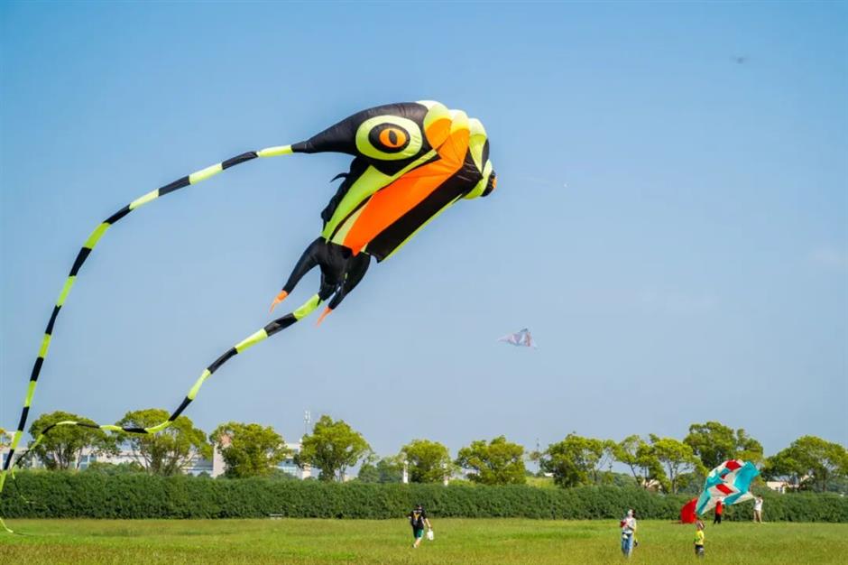 上海旅游节|一年一度,却又永保新鲜!经典活动大盘点