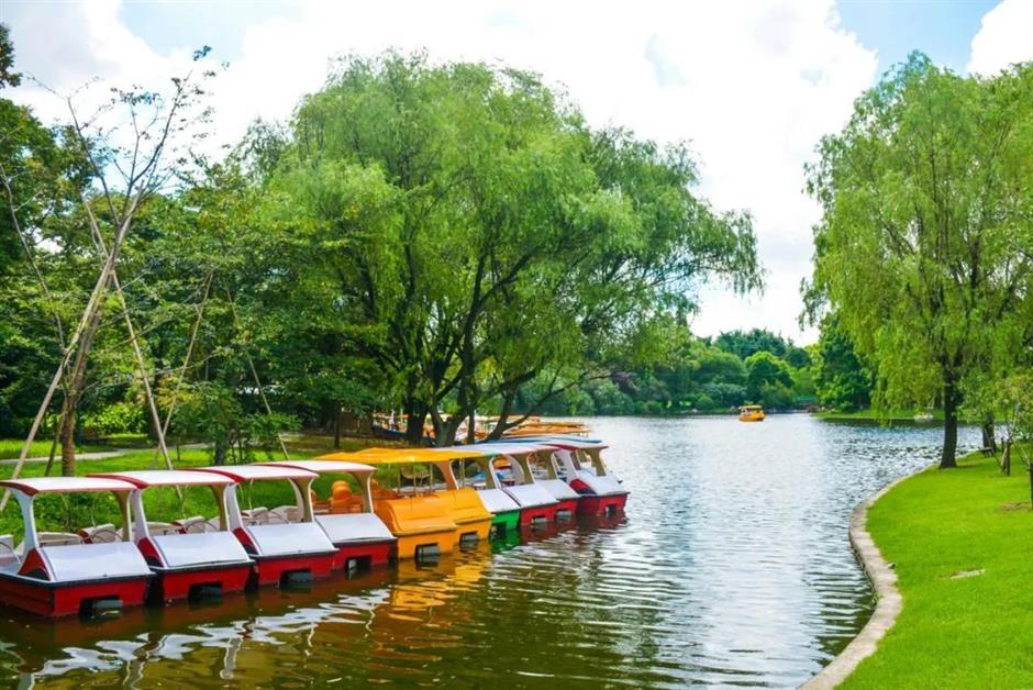 暑期倒计时!去森林公园溜娃吧