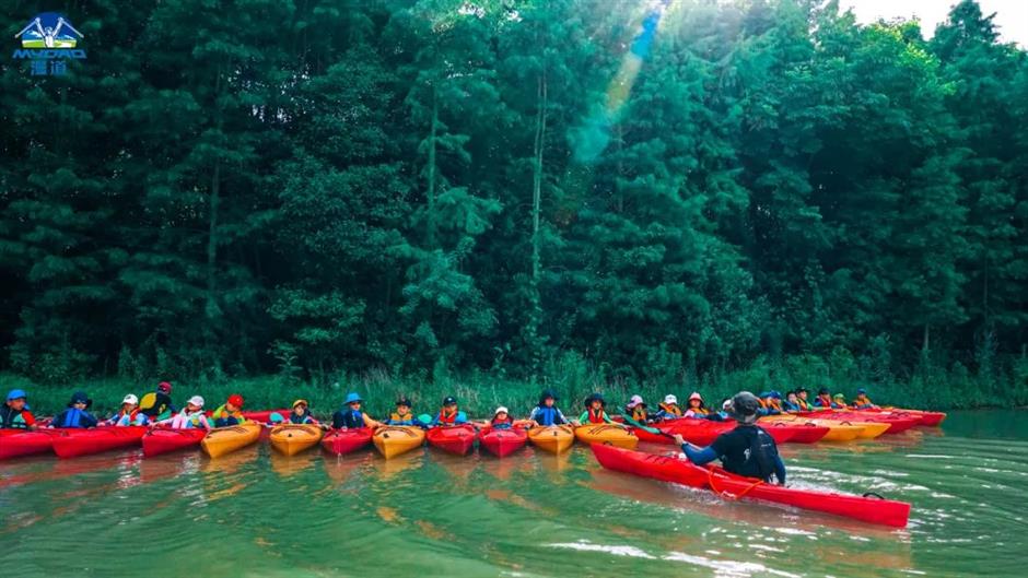 暑期倒计时!去森林公园溜娃吧