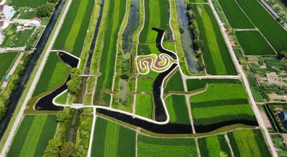 美麗鄉野的安逸生活,浦東民宿各有特色